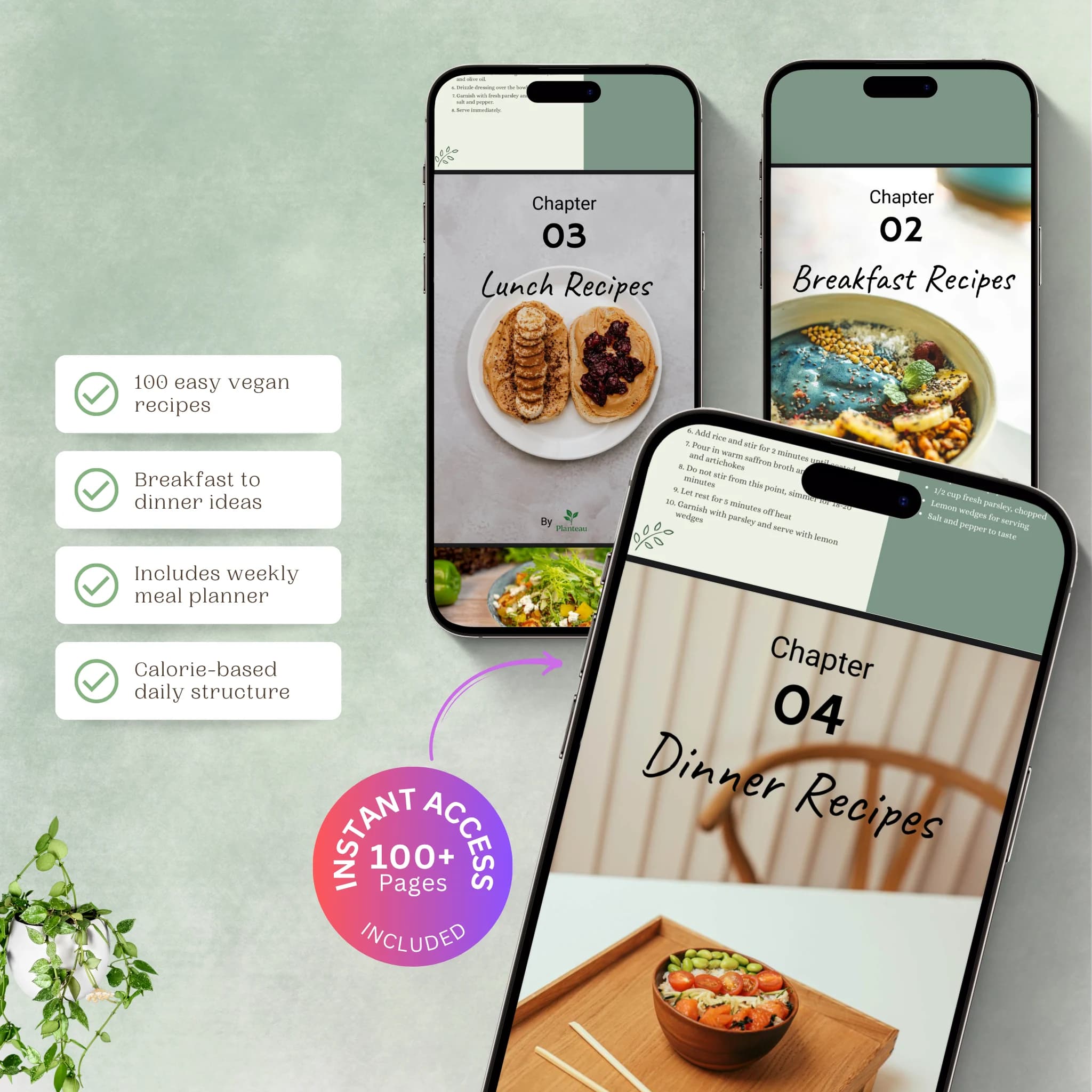 100 Vegan Recipes eBook Mockup by Planteau