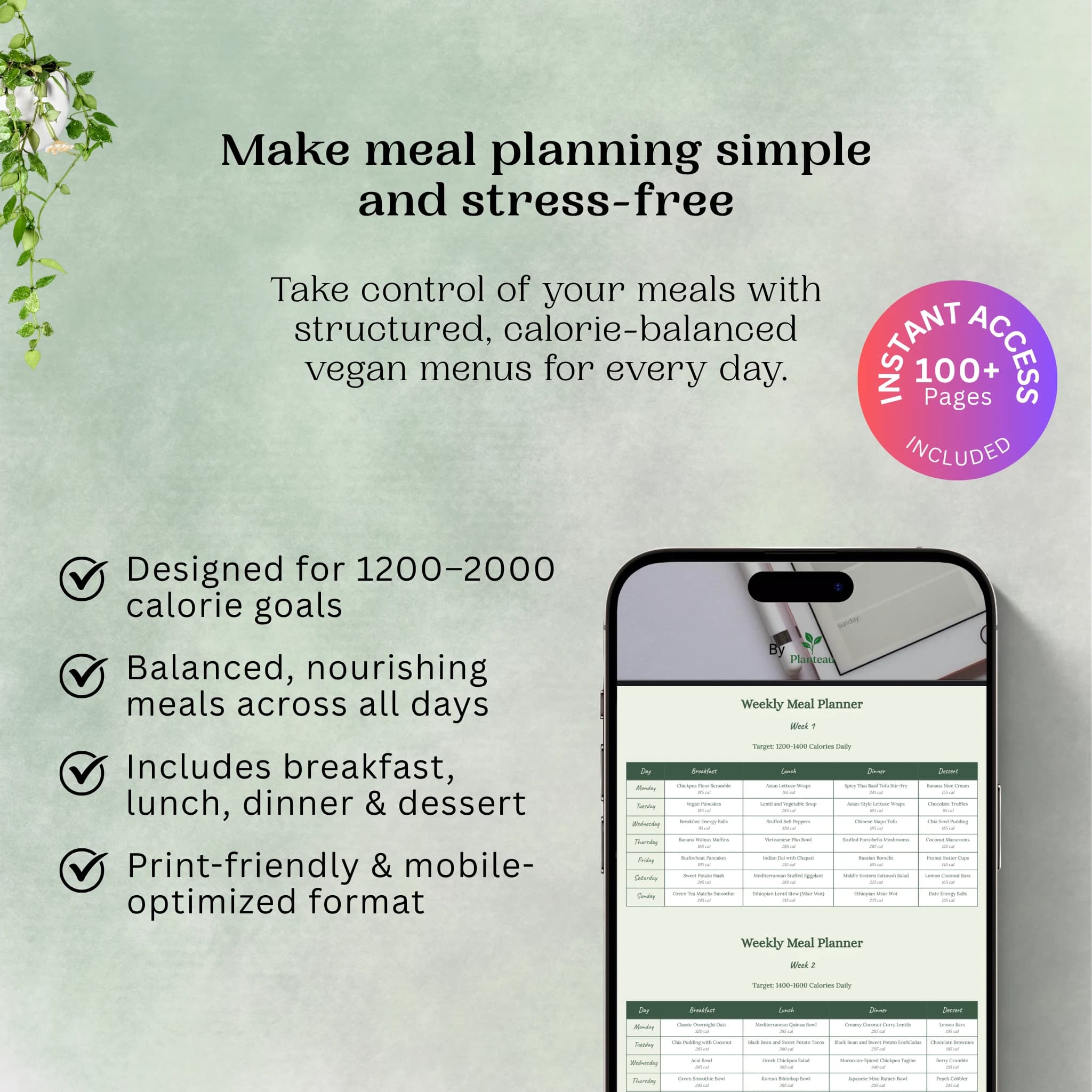 100 Vegan Recipes eBook Mockup by Planteau