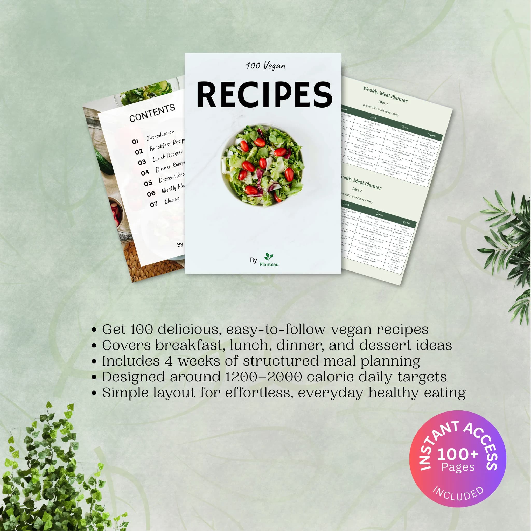 100 Vegan Recipes eBook Mockup by Planteau